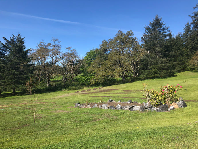 Farm Update May 3, 2019